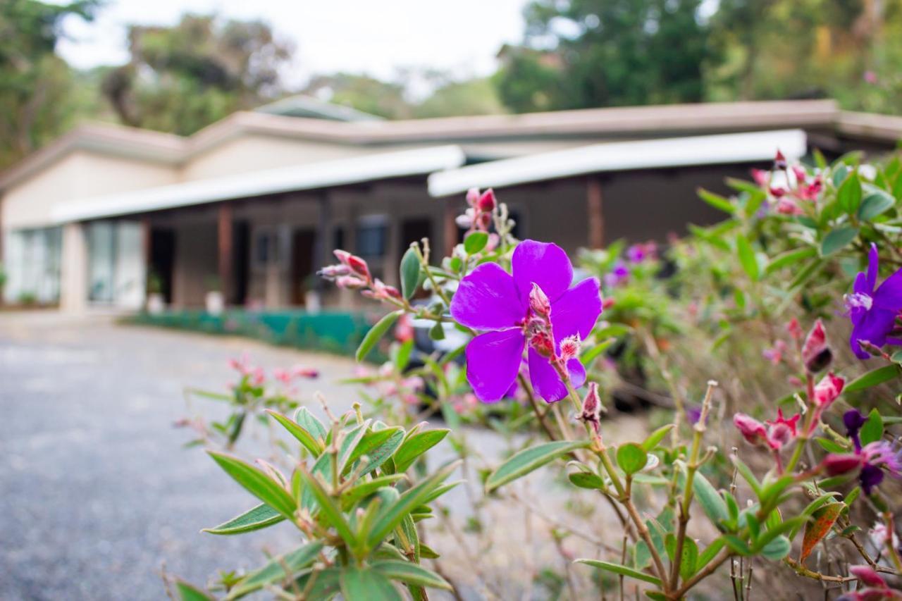 Natuera Hotel Monteverde Exterior photo